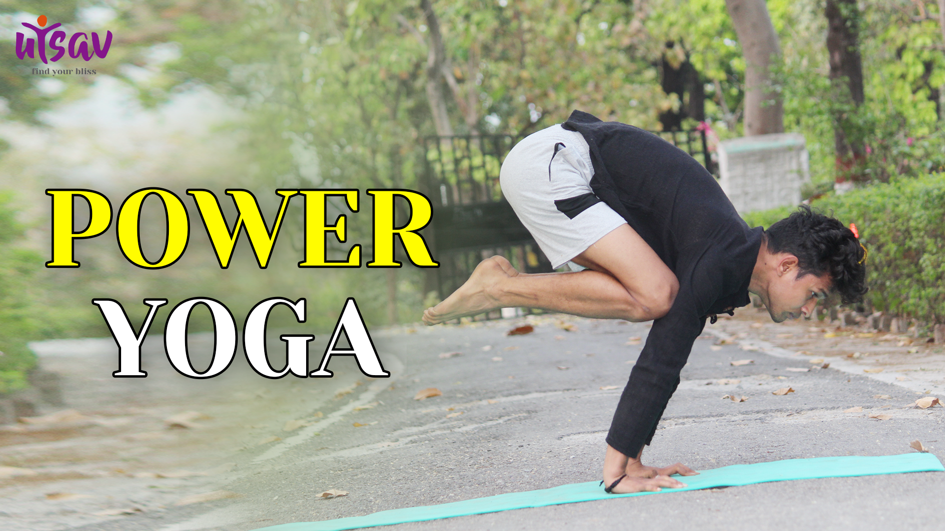 Sean Vigue's Power Yoga Bundle – TriadXP