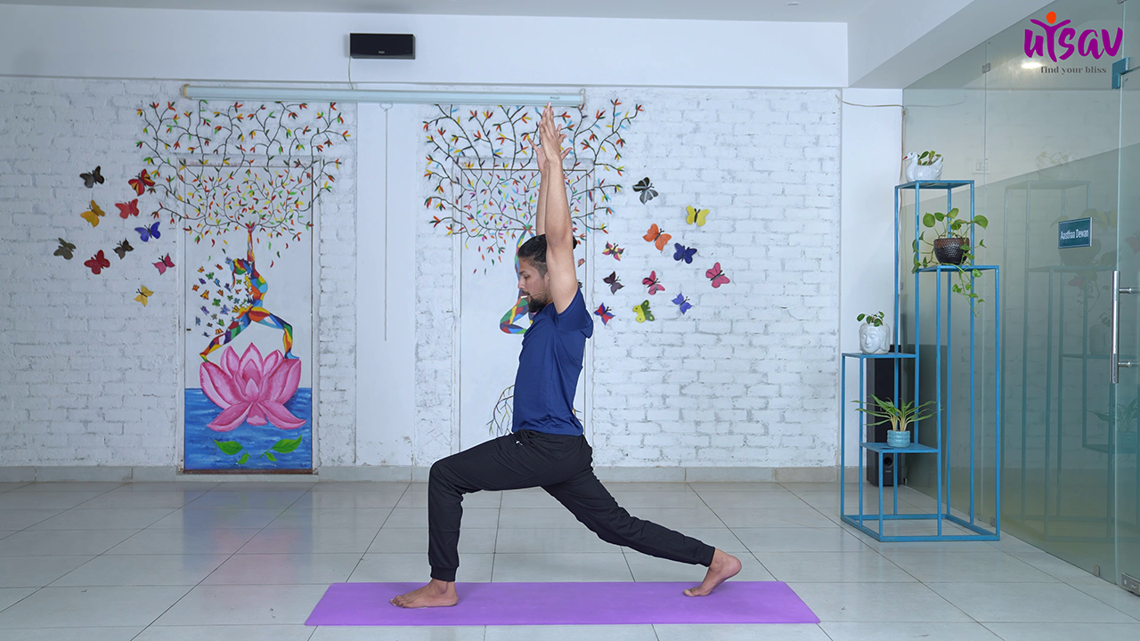 Vinyasa yoga volume 2