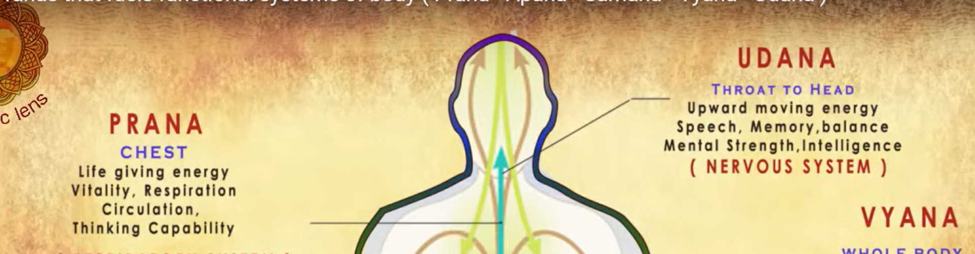 drkhushbuchaudhary5385